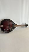 Savoy A-style electric mandolin