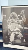 Bob Marley 1980 Brighton Centre concert poster