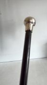 Silver top walking stick