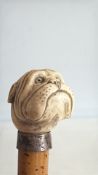 Bulldog-head walking cane