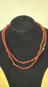 Coral necklace