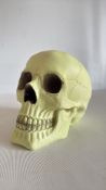 Luminous skull