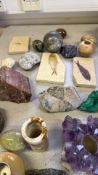 Assorted Minerals and Fossils
