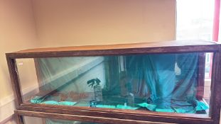 Glazed wooden display case with hinged lid