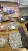 Collection of geological rock specimens