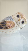 Royal crown derby owl firsts