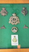 The South Wales borders 24th foot military badges