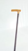 Horn handle walking stick