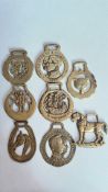Group of 8 brass horse brasses