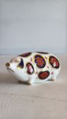 Royal crown derby pig firsts