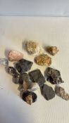 Collection of mineral and fossil specimens