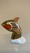 Royal crown derby tropical fish with gold stopper