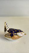 Royal crown derby wren firsts