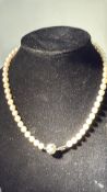 14ct White gold clasp on a pearl necklace