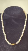 Pearl necklace with 9ct gold clasp