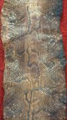 Python snake skin hide