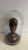 Decorative Skull Sculpture Under Glass Dome