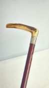 Silver rim bone handle walking stick