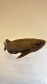 Bronze Koi-carp fish