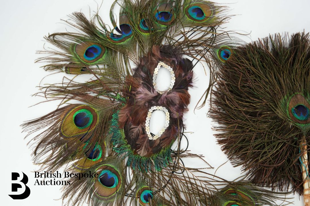 Victorian Taxidermy Peacock - Image 9 of 11