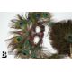 Victorian Taxidermy Peacock - Image 9 of 11