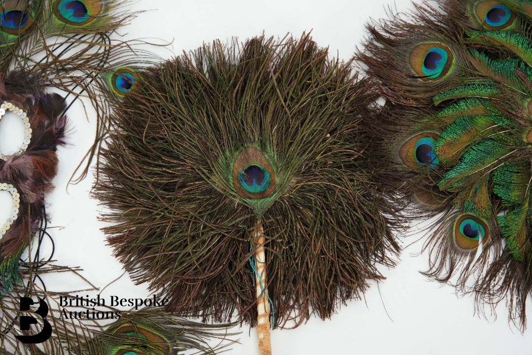 Victorian Taxidermy Peacock - Image 10 of 11