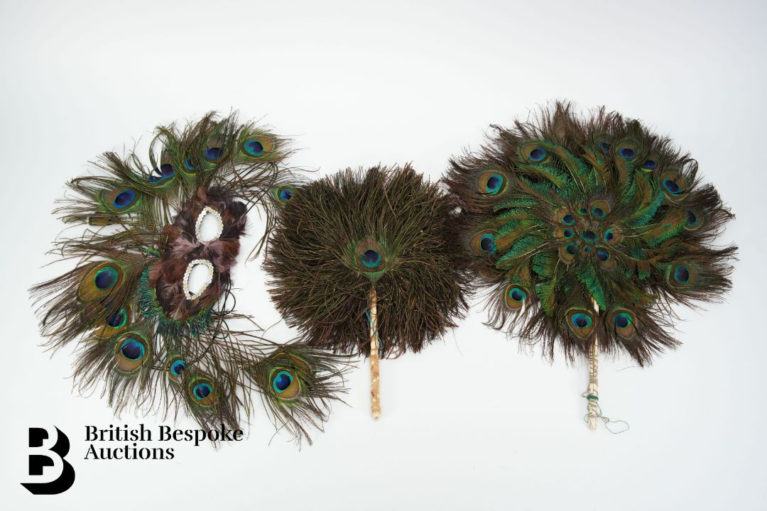Victorian Taxidermy Peacock - Image 8 of 11
