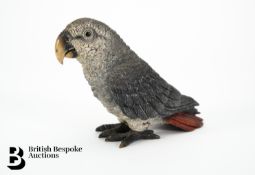 Cold Painted Bronze Parrot