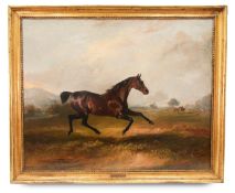 John Ferneley Senior (1782-1860) - Lord Craven's Favourite Hunter