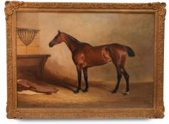 John Ferneley Senior (1782-1860) - Portrait of the Mare Polecat