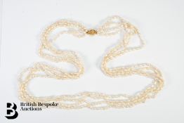 Four Strand Fresh Water Pearl Necklace
