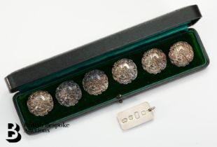 Silver Ingot