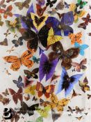 Jean-Francois Larrieu (French b.1960)