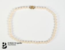 Single Strand Pearl Choker