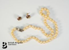 9ct Gold Earrings and Pearl Necklace