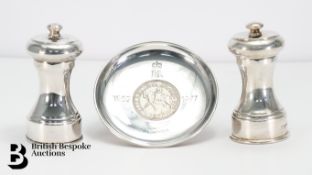 Silver Salt and Pepper
