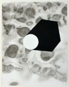 RUI SANCHES - NASC. 1954