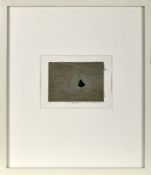 FERNANDO CALHAU - 1948-2002