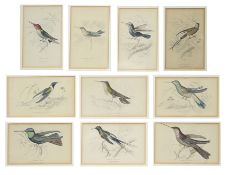 After Lizars, William Home (1788-1859) A set of ten handcoloured hummingbird bookplate engravings