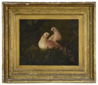 British School, 19th century, 'A Pair of Doves'