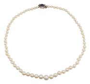 A single strand of graduated pearls with diamond and sapphire clasp
