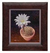 Richard Tratt (British, b.1953) 'Echinotsis Polyancistra'