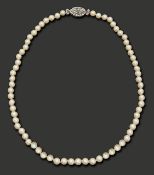 A cultured pearl necklace