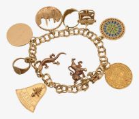 A fancy chain bracelet and ten charms