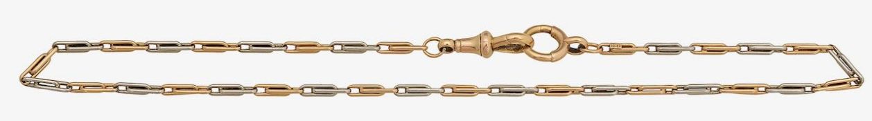 A fancy bicolored paper clip chain