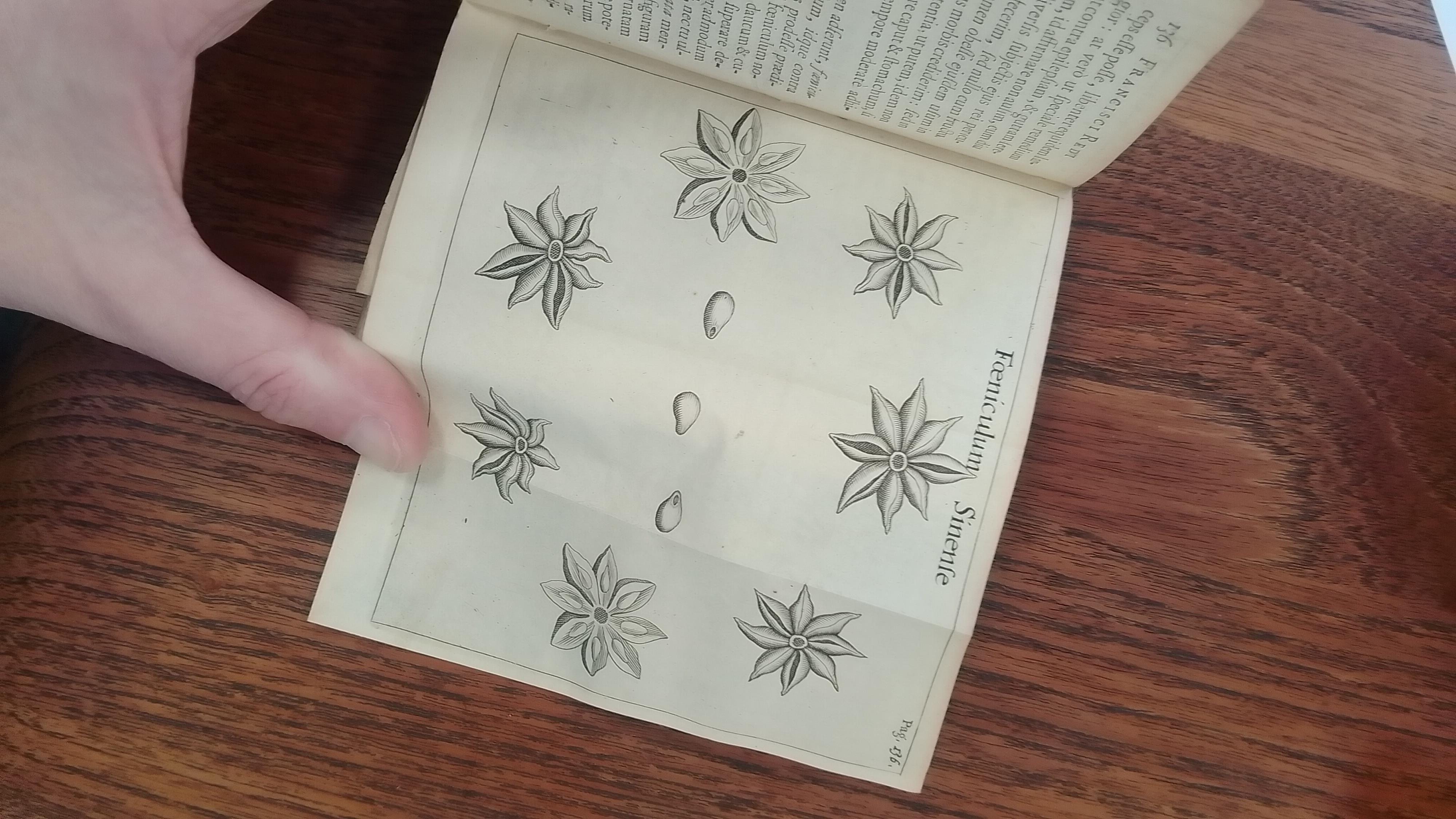 Five vellum bound volumes, 17th/18th century in date - Image 14 of 16