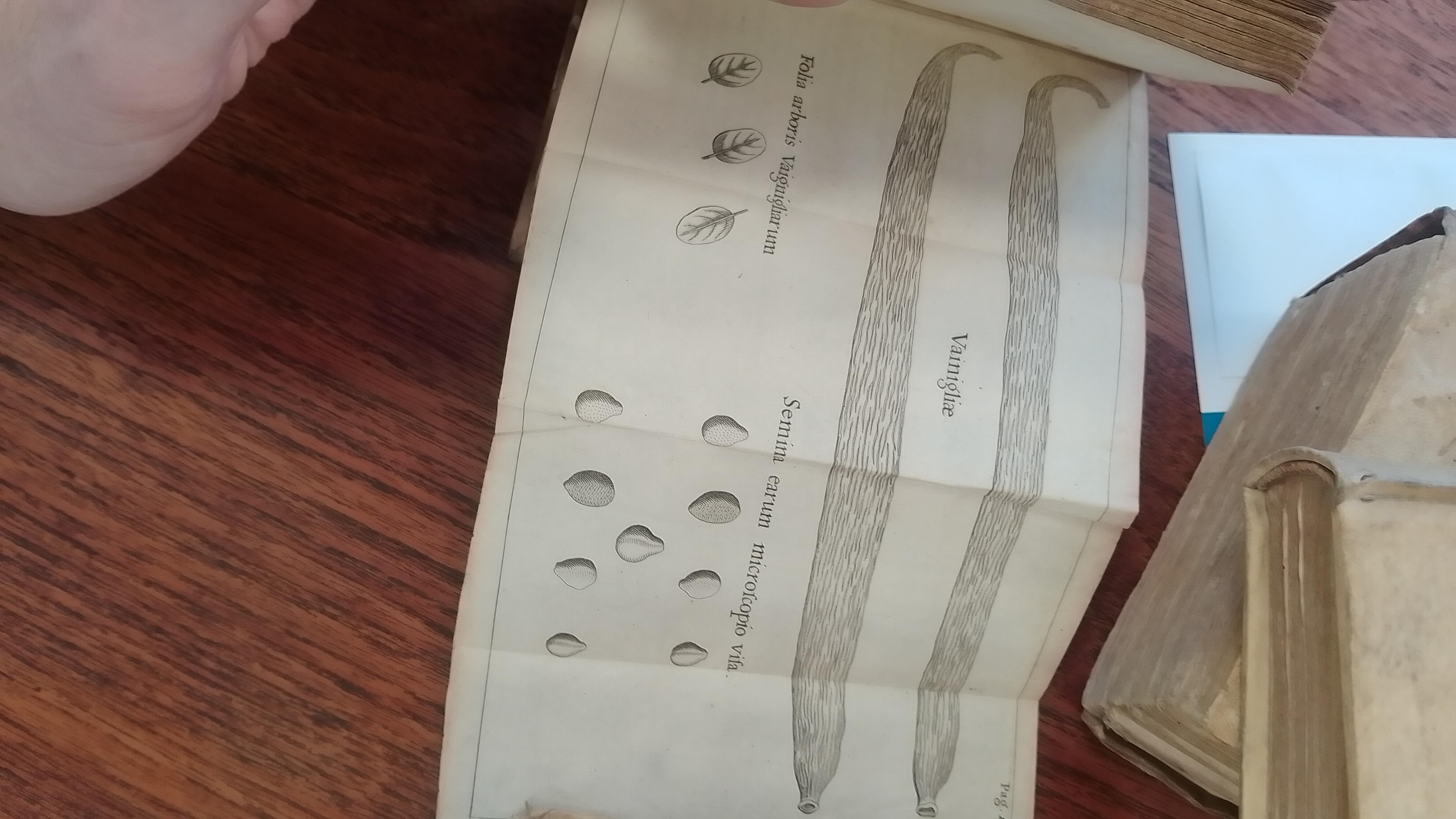 Five vellum bound volumes, 17th/18th century in date - Image 16 of 16