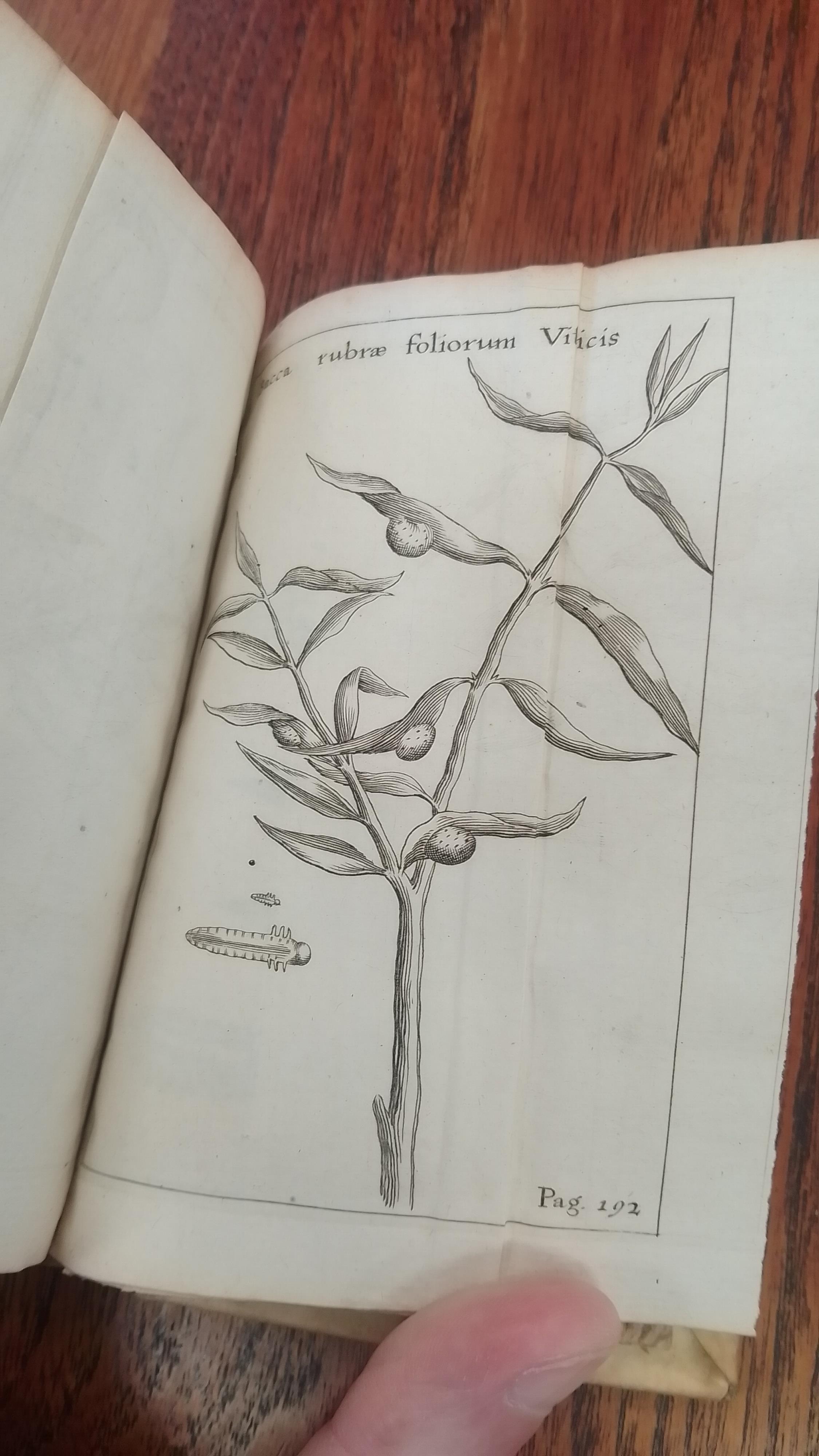 Five vellum bound volumes, 17th/18th century in date - Image 9 of 16