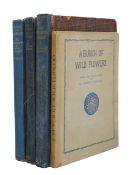 Outhwaite(s) First editions. 'Bunny & Brownie...', 'The Enchanted Forest' & 2 more