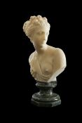 A Grand Tour style alabaster bust of Venus